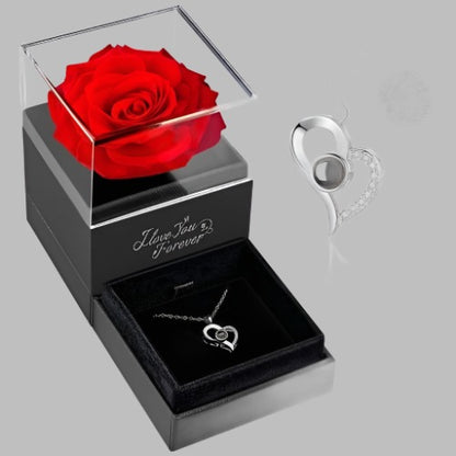 Preserved Rose with Necklace